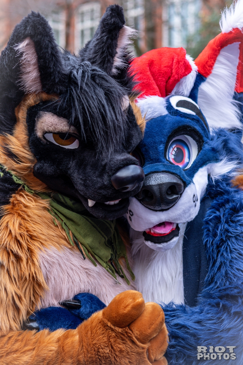 2024-12-15 MancFurs-202412-018.jpg