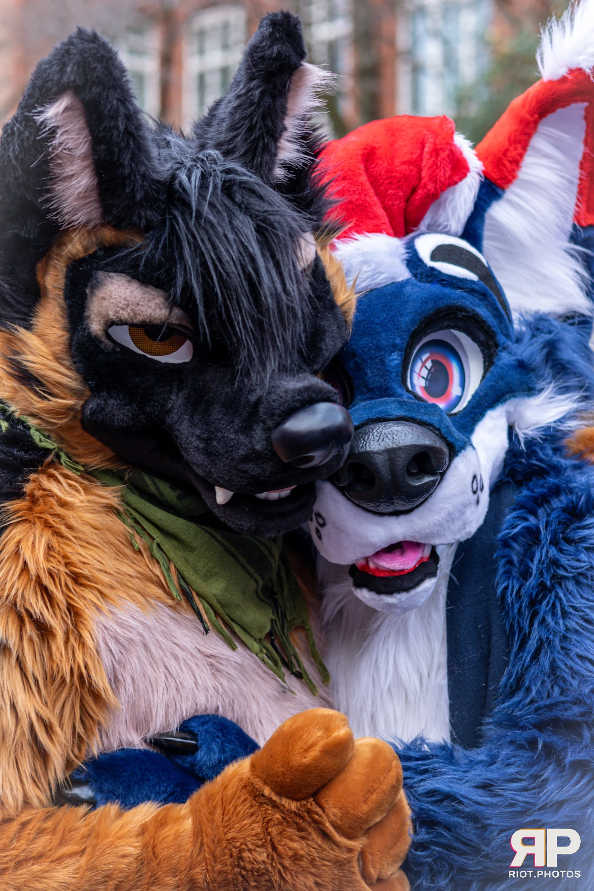 MancFurs - December, 2024 — 14 Dec 2024, Fluffy Riot photography — photo 18