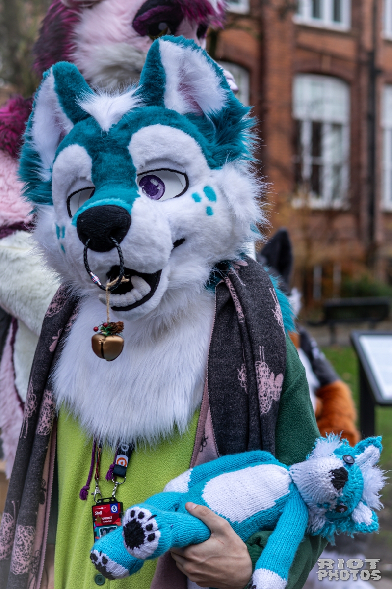 2024-12-15 MancFurs-202412-019.jpg