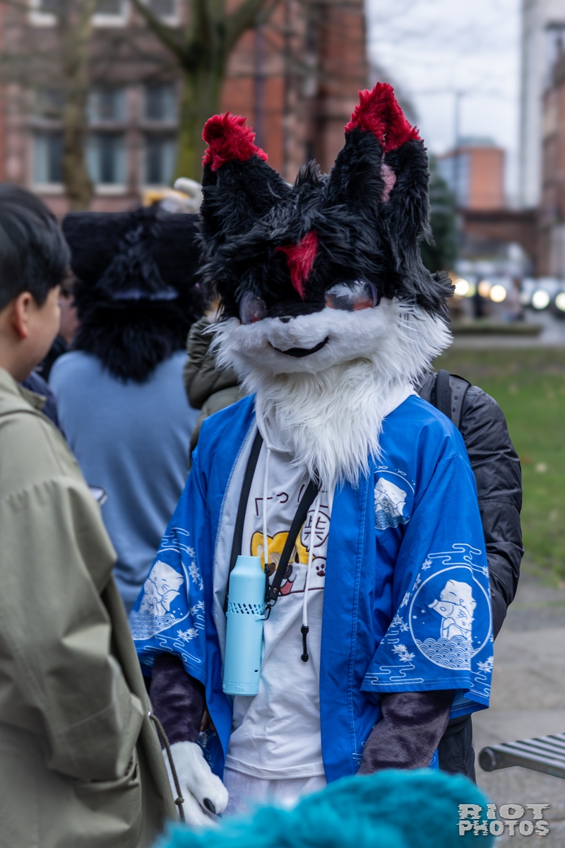2024-12-15 MancFurs-202412-020.jpg
