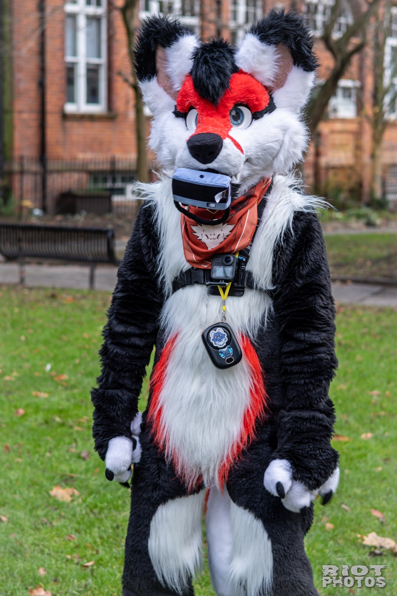2024-12-15 MancFurs-202412-023.jpg