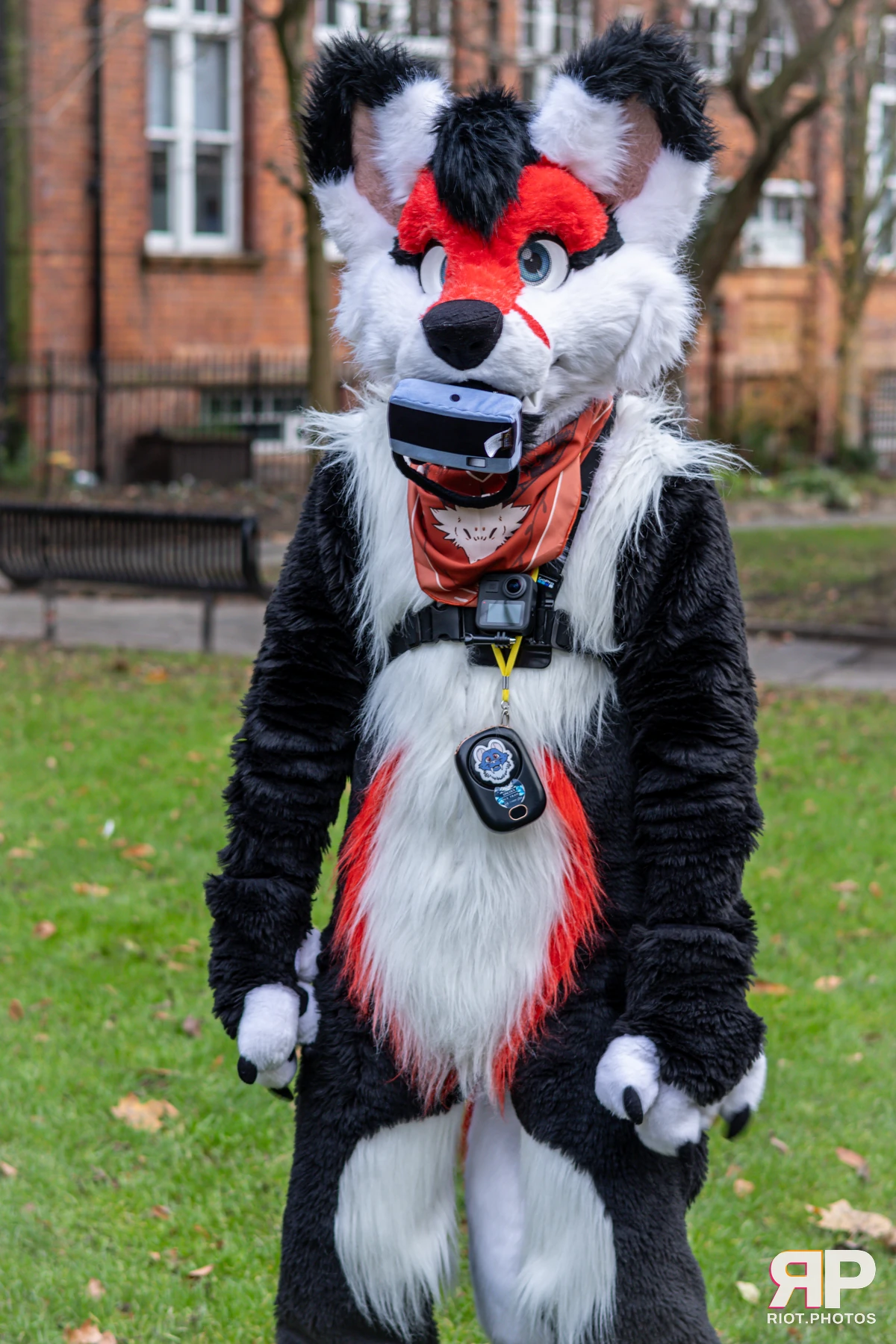 MancFurs - December, 2024 — 14 Dec 2024, Fluffy Riot photography — photo 23