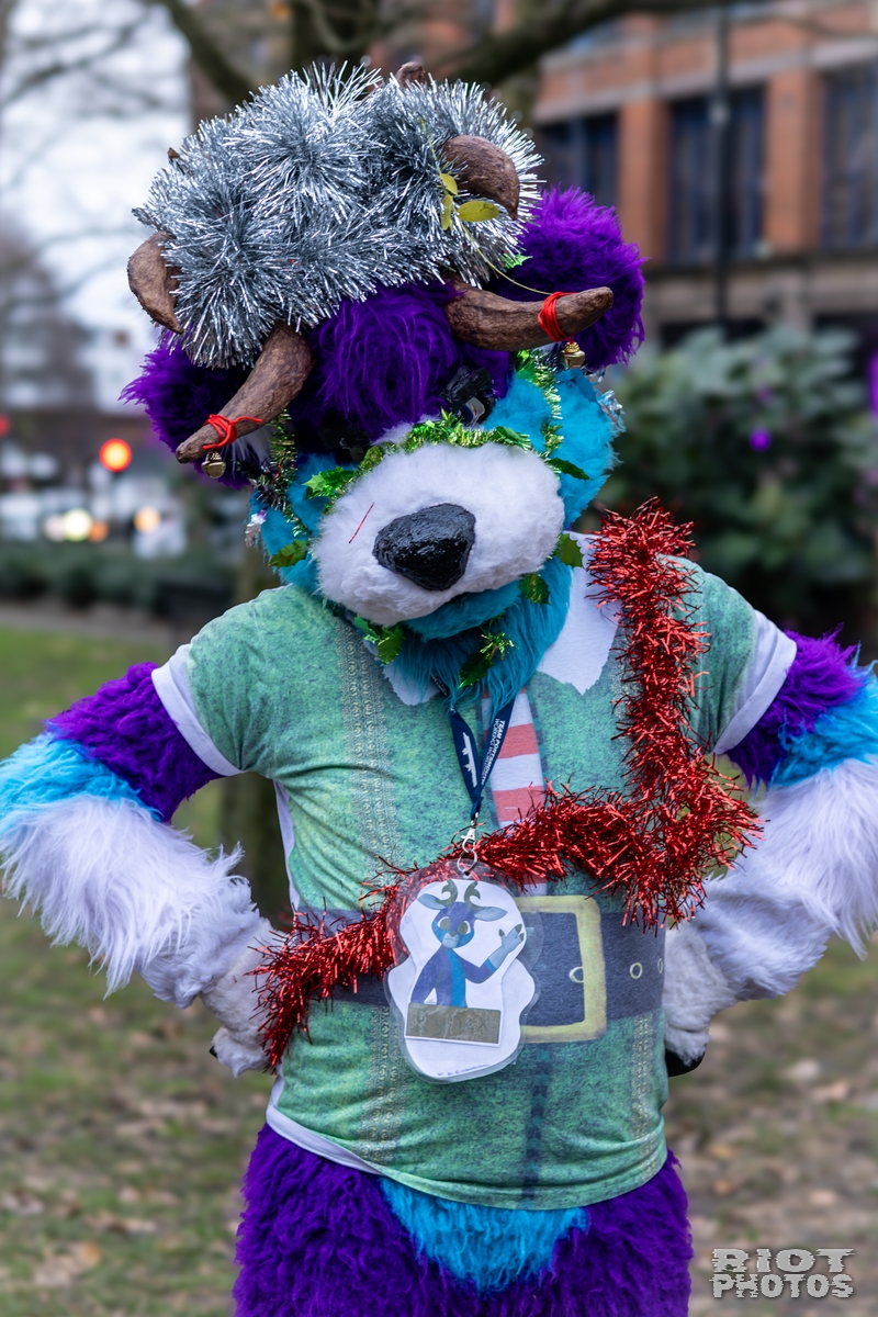 2024-12-15 MancFurs-202412-024.jpg