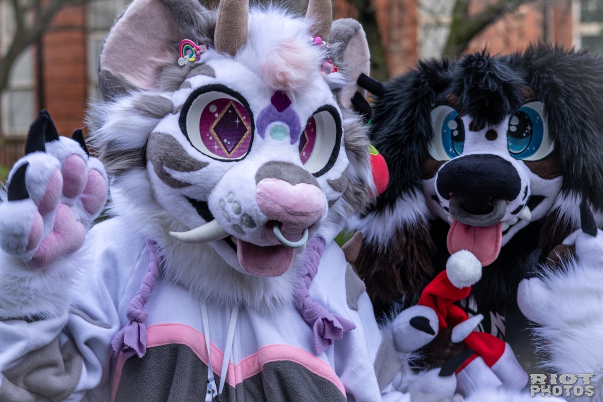 2024-12-15 MancFurs-202412-025.jpg