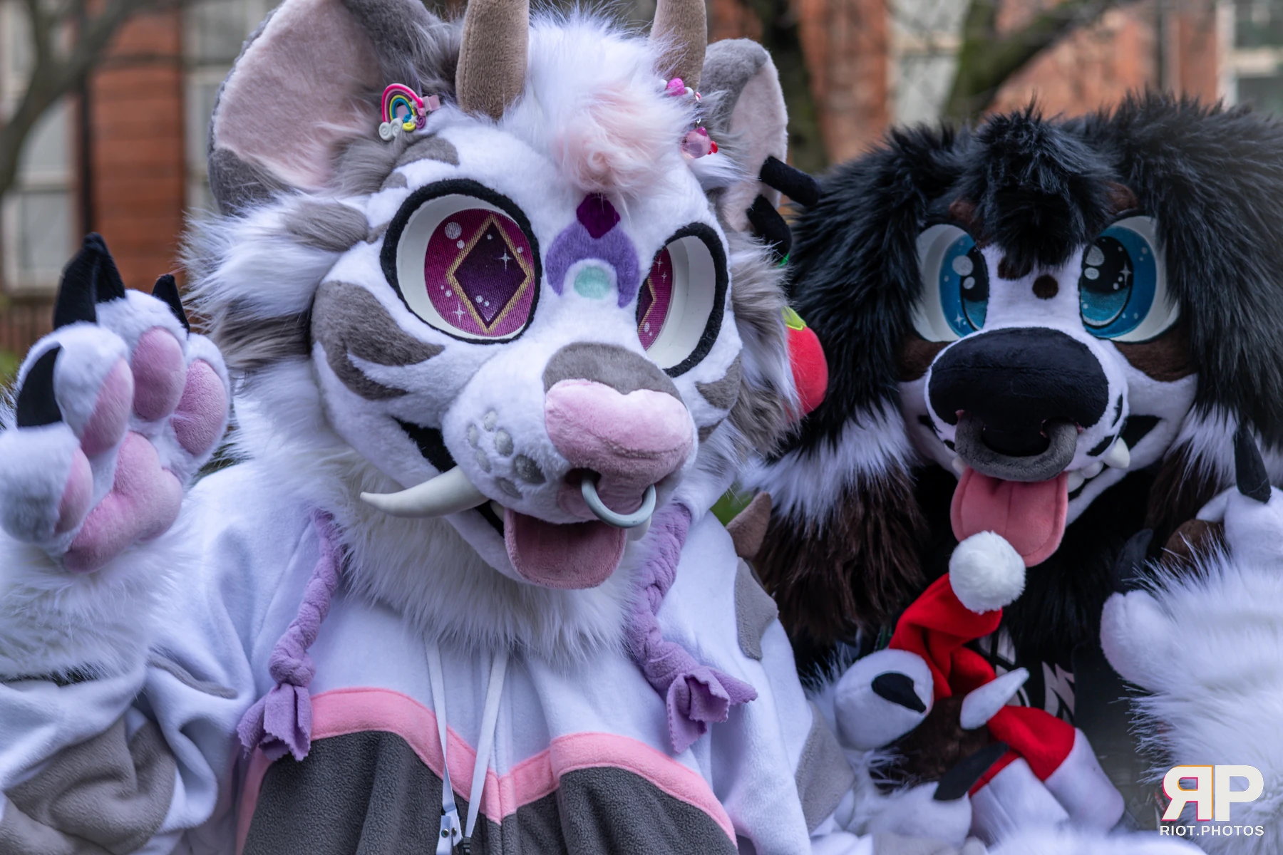 MancFurs - December, 2024 — 14 Dec 2024, Fluffy Riot photography — photo 25