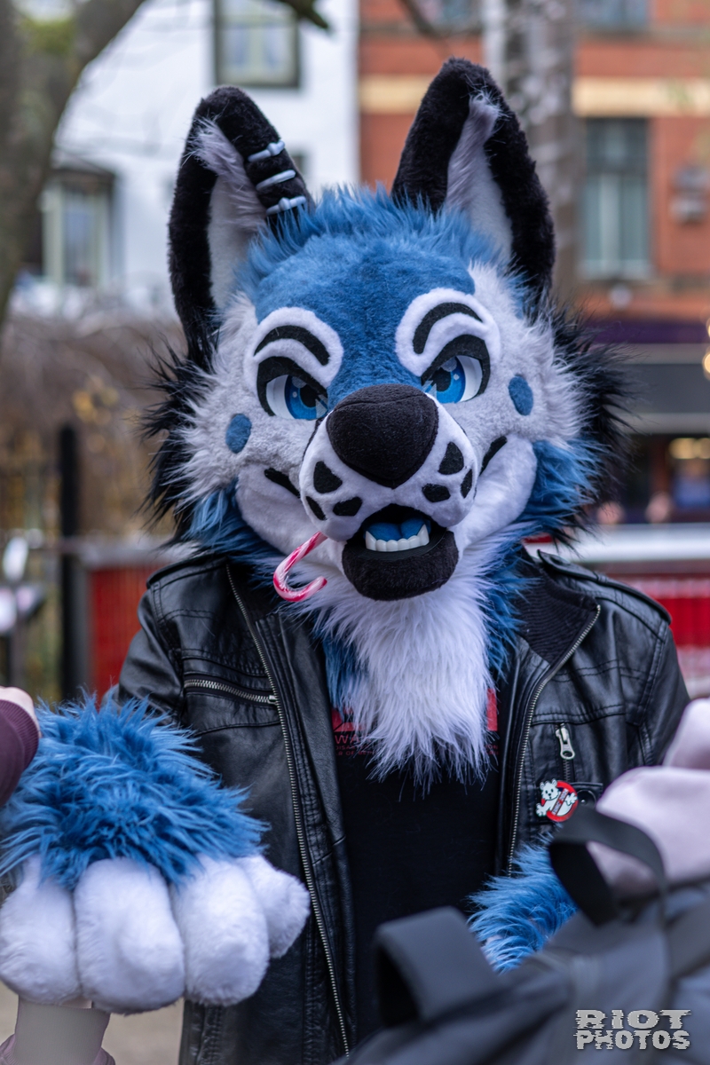 2024-12-15 MancFurs-202412-026.jpg