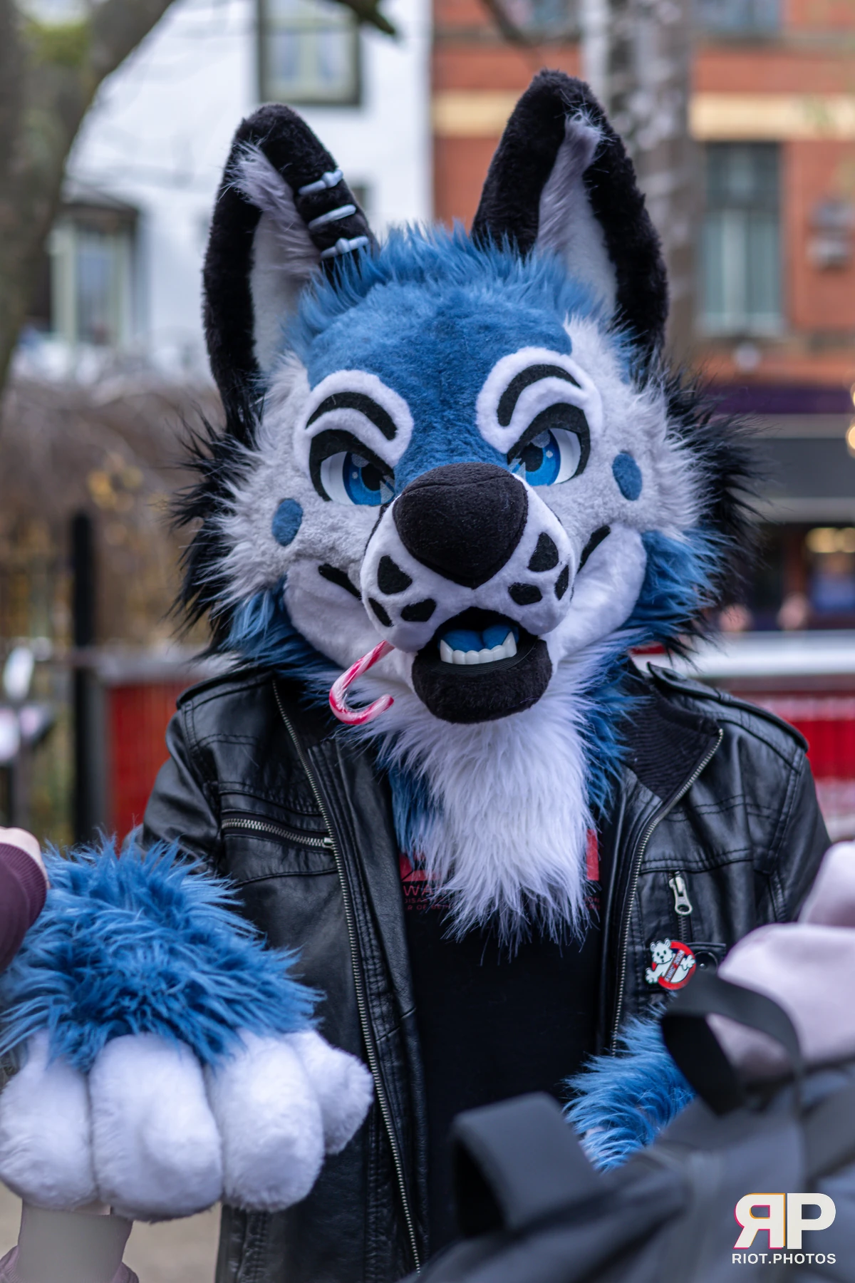 MancFurs - December, 2024 — 14 Dec 2024, Fluffy Riot photography — photo 26