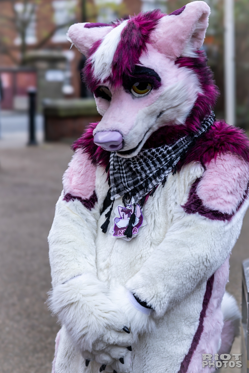 2024-12-15 MancFurs-202412-027.jpg