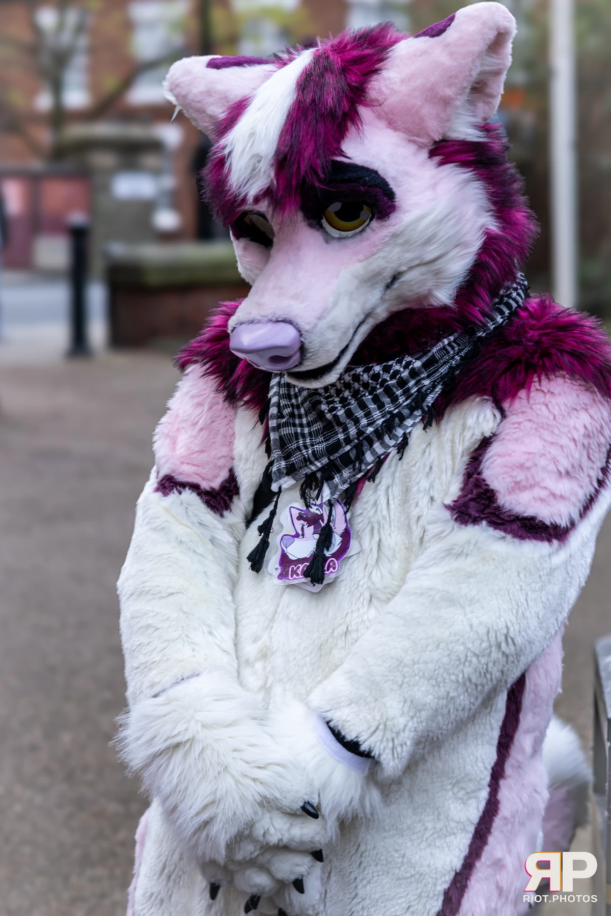 MancFurs - December, 2024 — 14 Dec 2024, Fluffy Riot photography — photo 27