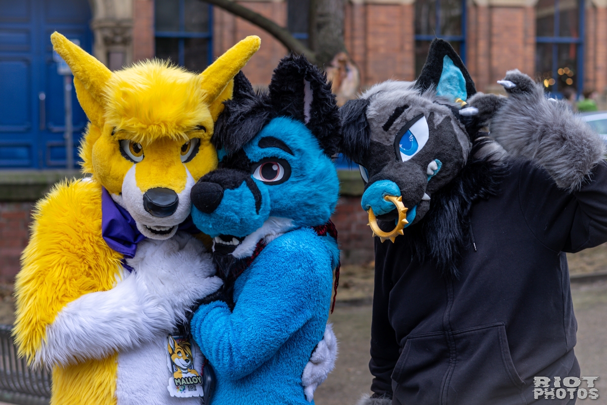 2024-12-15 MancFurs-202412-028.jpg
