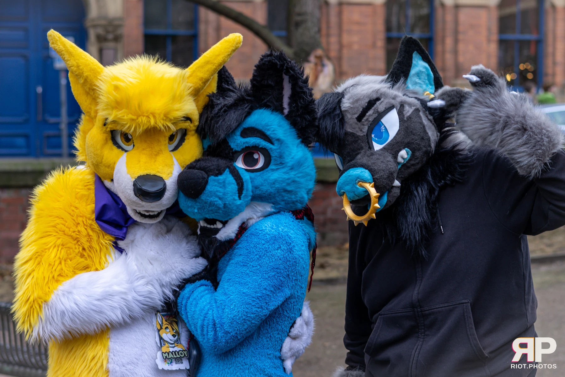 Tyro — furry & pup photography by Fluffy Riot — photo 6