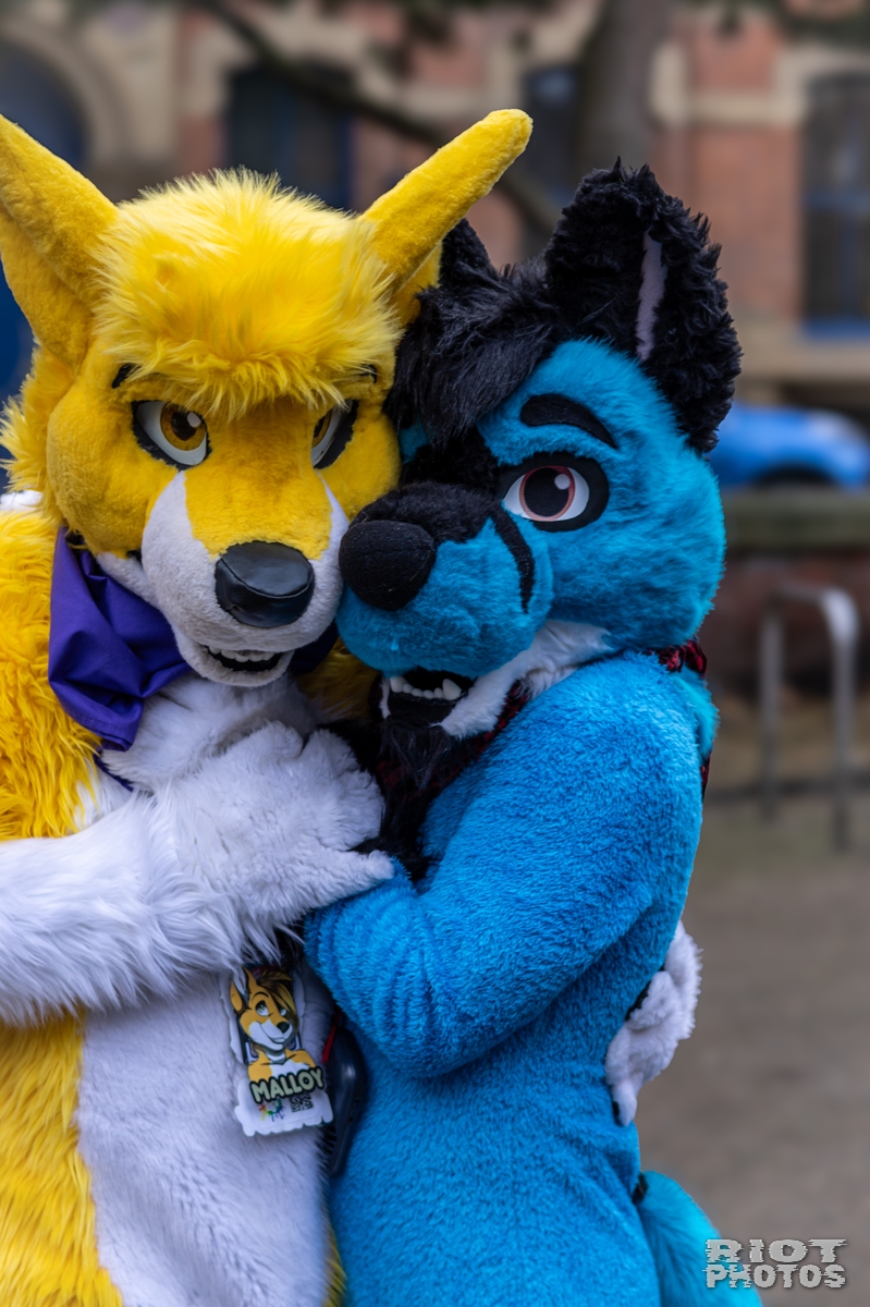 2024-12-15 MancFurs-202412-029.jpg