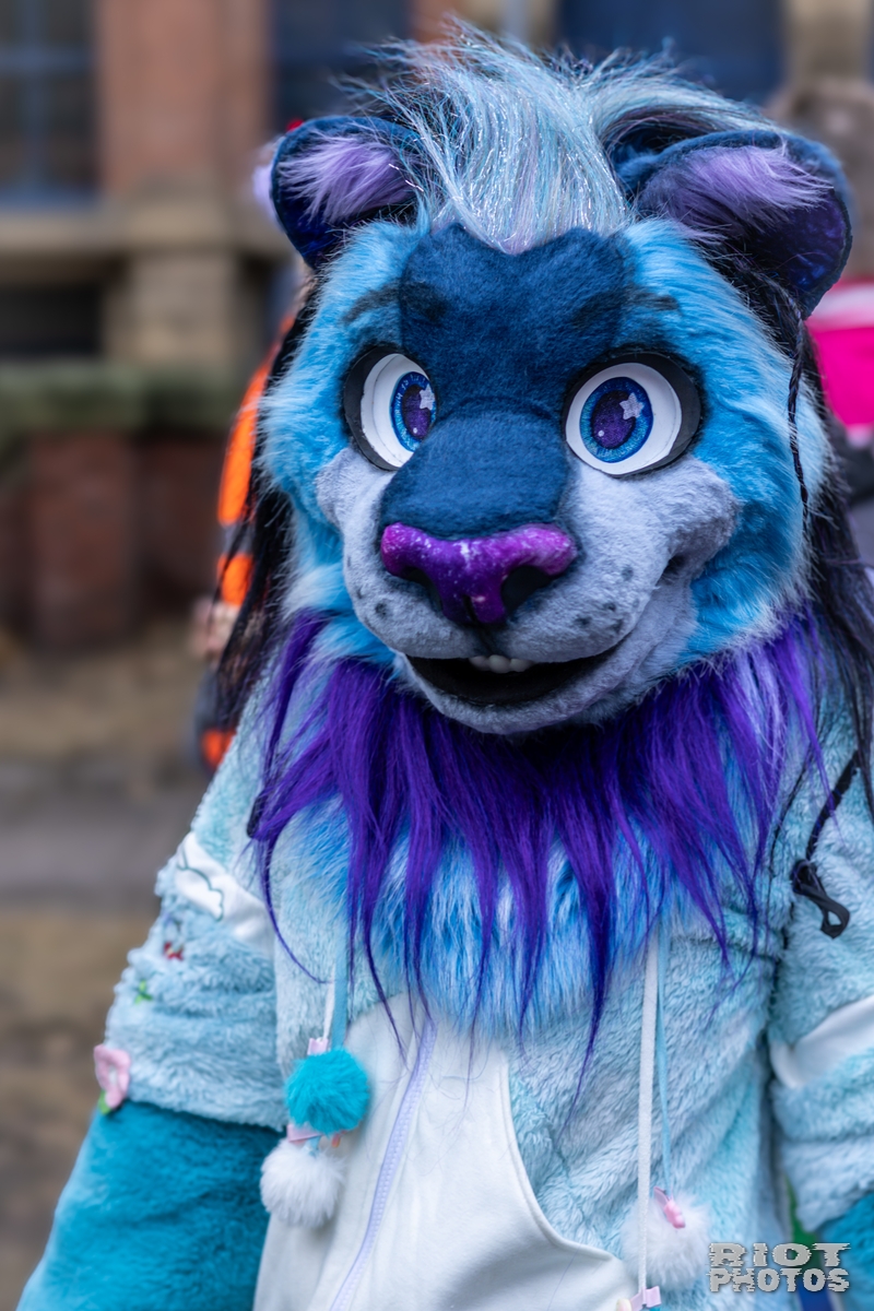 2024-12-15 MancFurs-202412-030.jpg