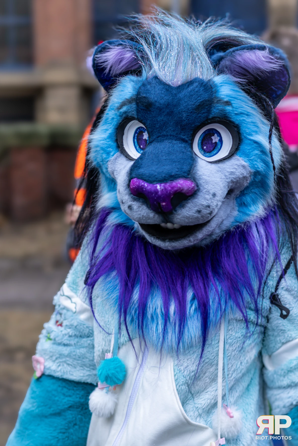 MancFurs - December, 2024 — 14 Dec 2024, Fluffy Riot photography — photo 30