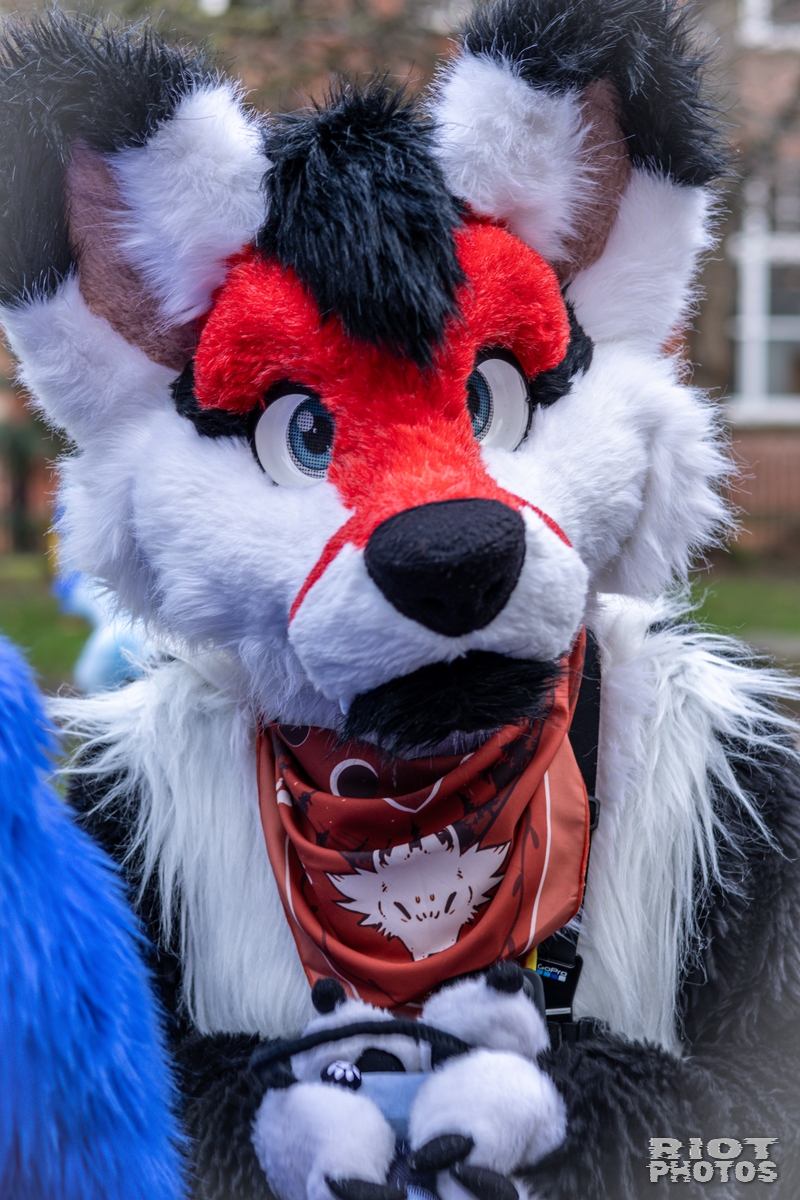 2024-12-15 MancFurs-202412-031.jpg