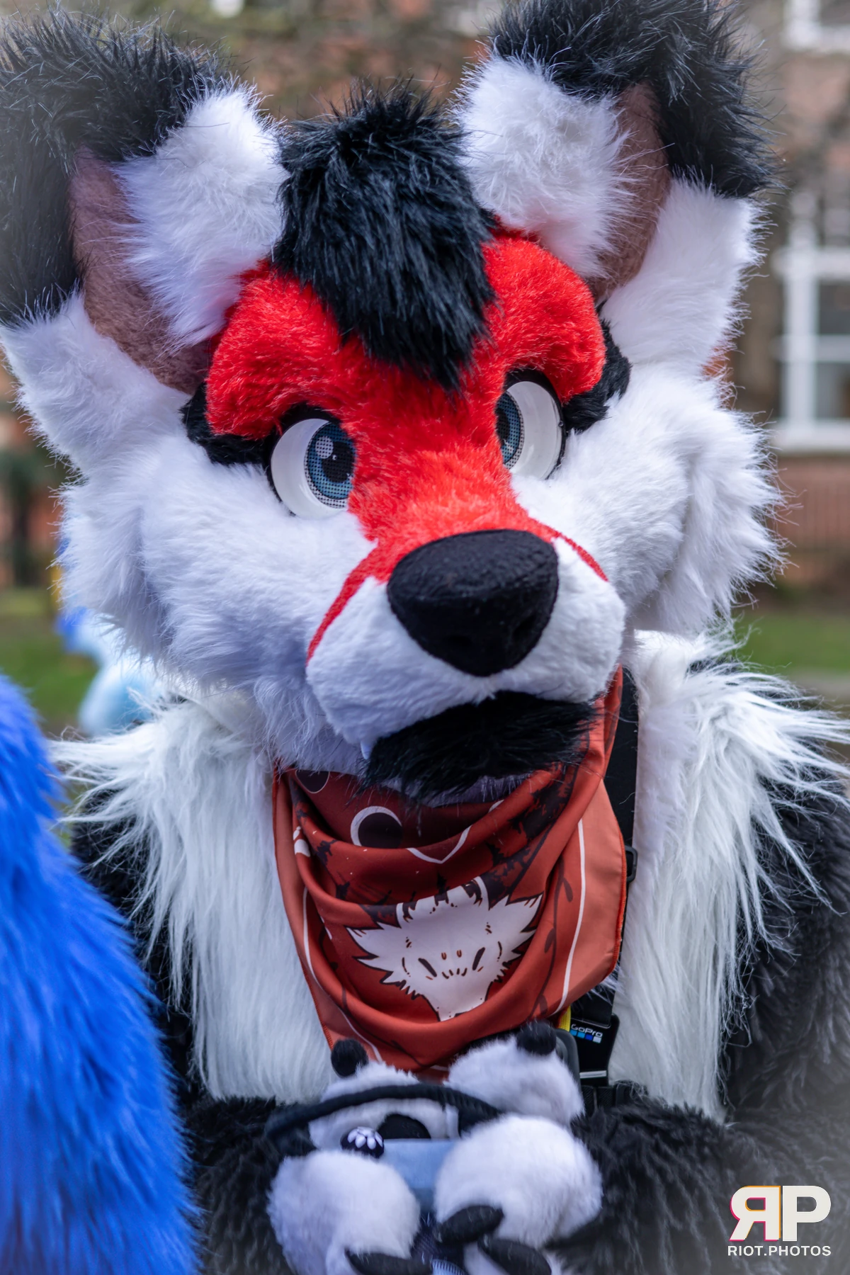 MancFurs - December, 2024 — 14 Dec 2024, Fluffy Riot photography — photo 31
