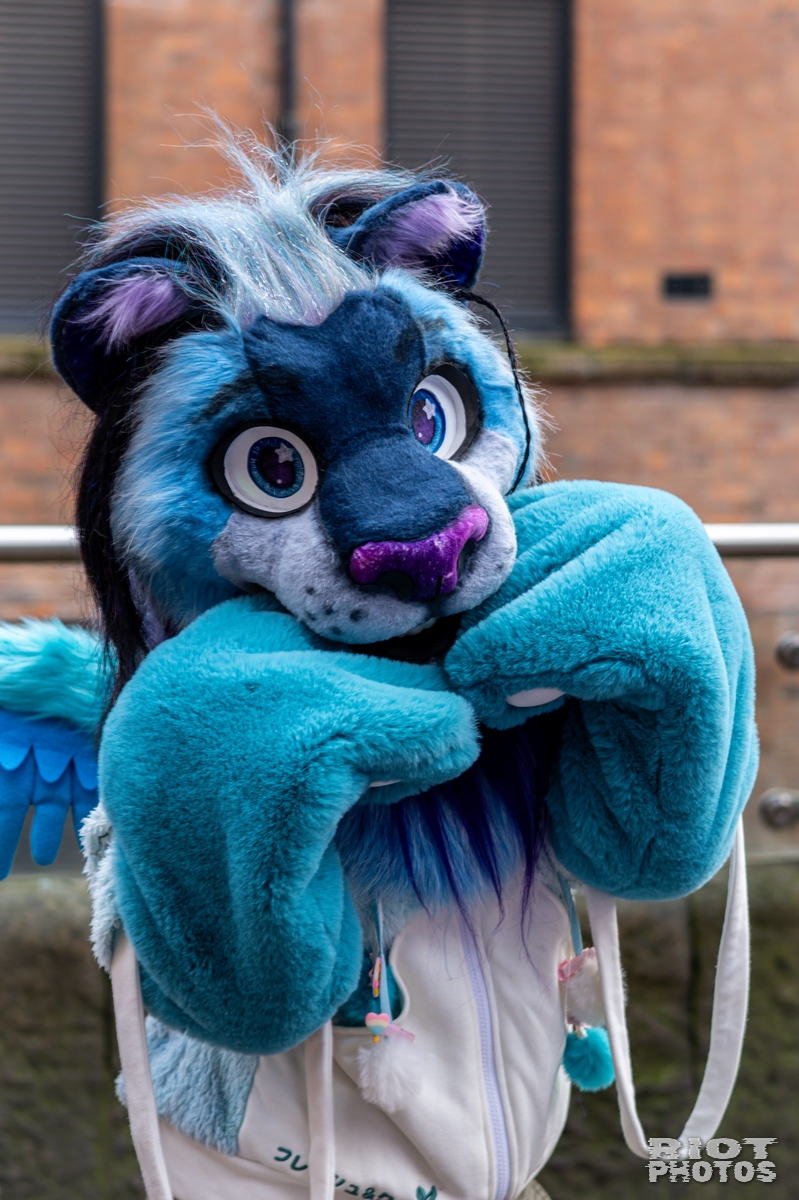 2024-12-15 MancFurs-202412-032.jpg