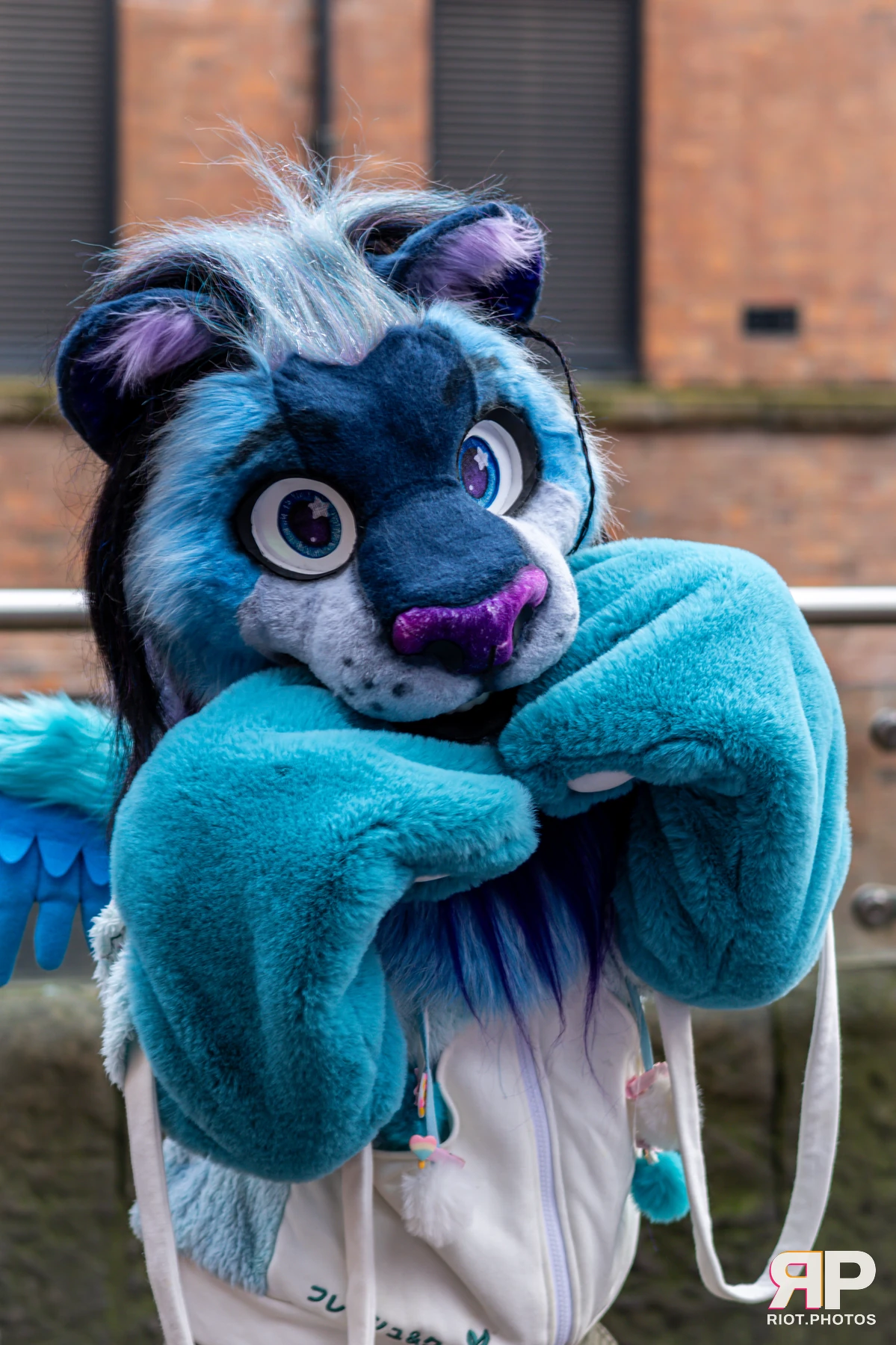 MancFurs - December, 2024 — 14 Dec 2024, Fluffy Riot photography — photo 32