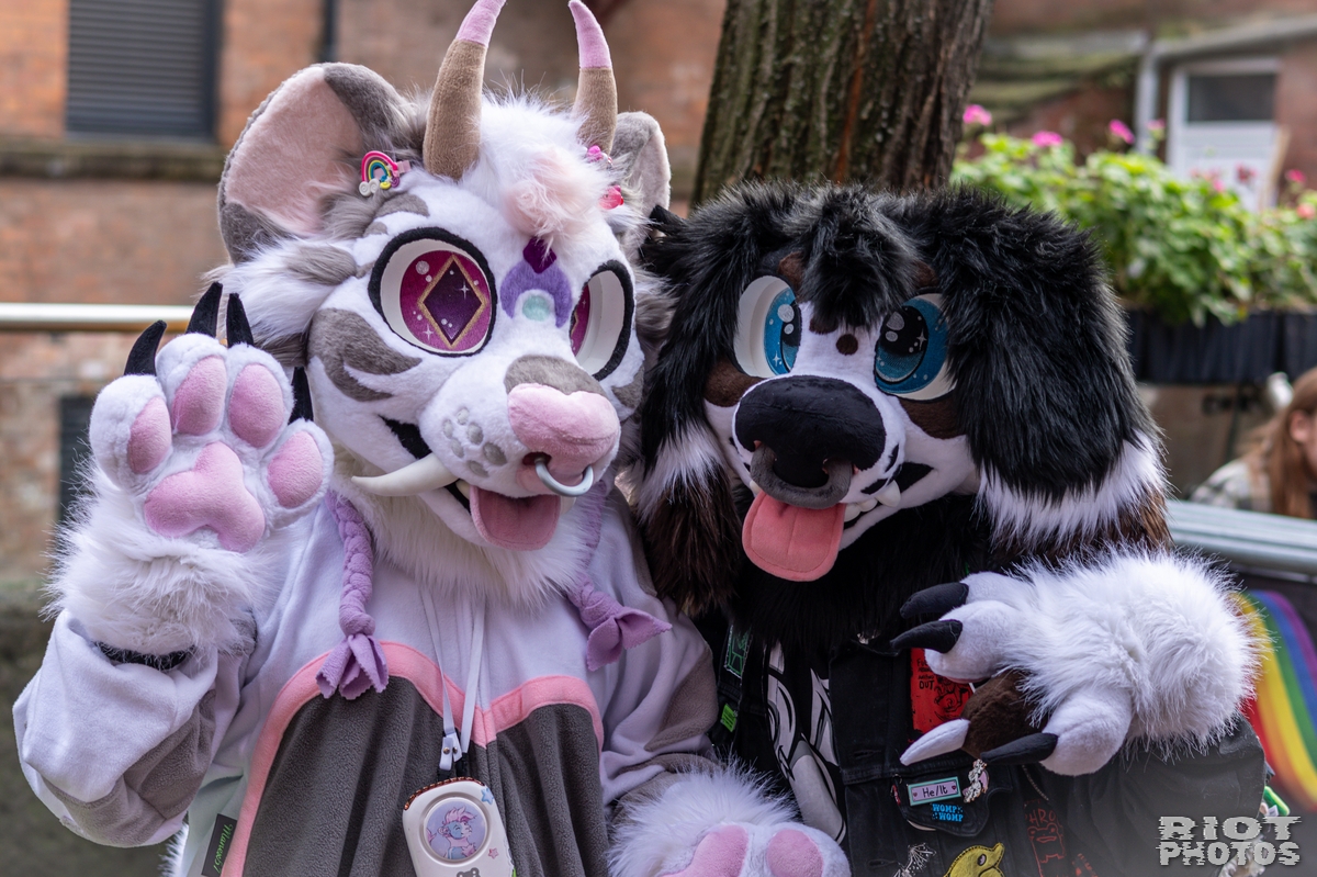 2024-12-15 MancFurs-202412-033.jpg
