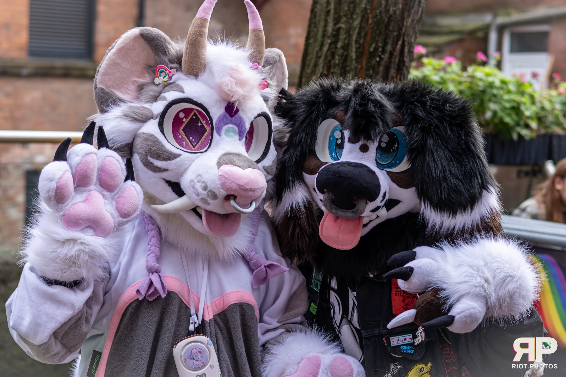 MancFurs - December, 2024 — 14 Dec 2024, Fluffy Riot photography — photo 33
