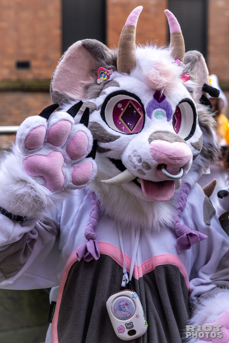 2024-12-15 MancFurs-202412-034.jpg