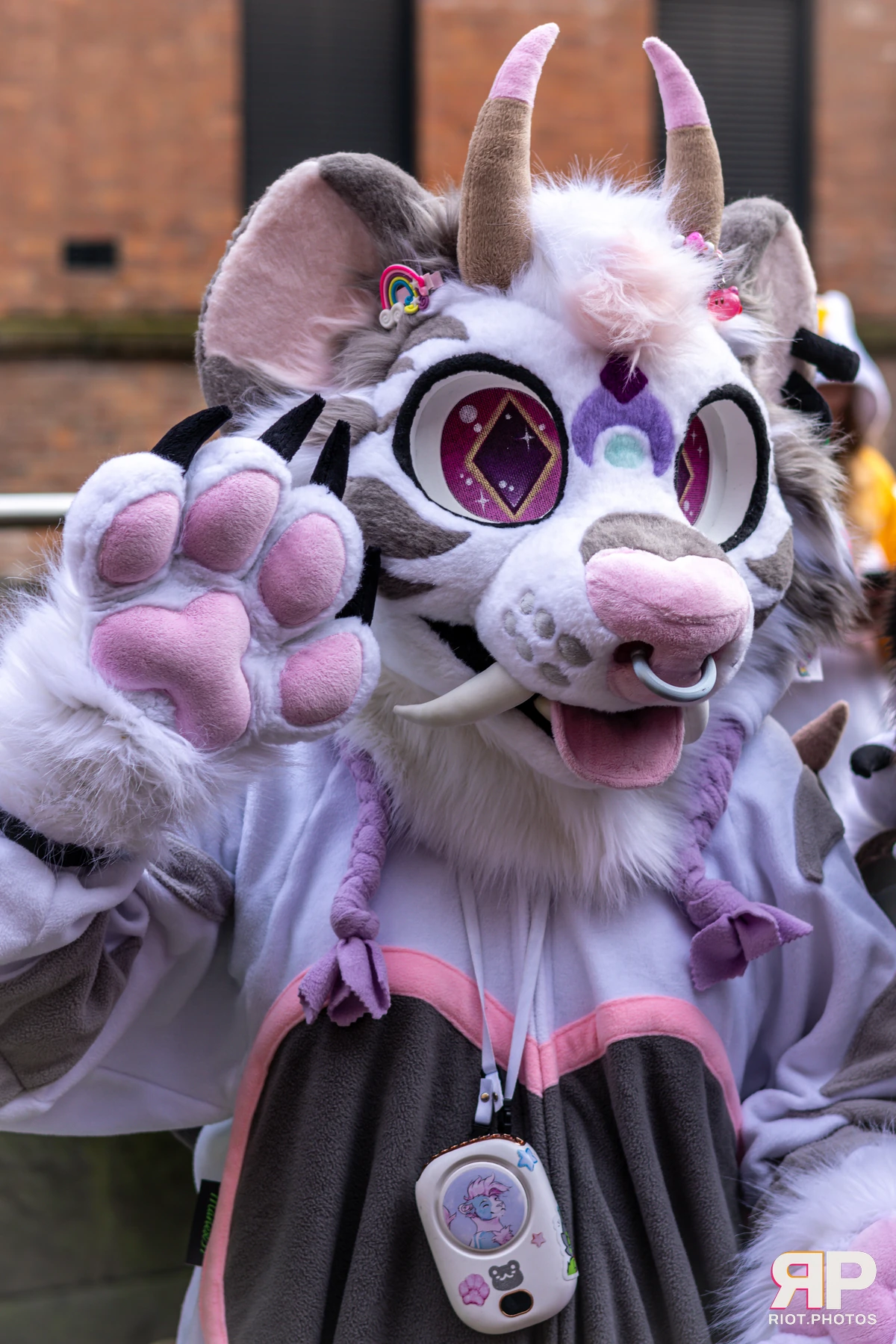 MancFurs - December, 2024 — 14 Dec 2024, Fluffy Riot photography — photo 34