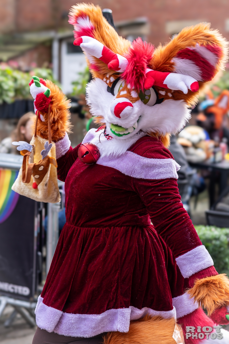 2024-12-15 MancFurs-202412-036.jpg