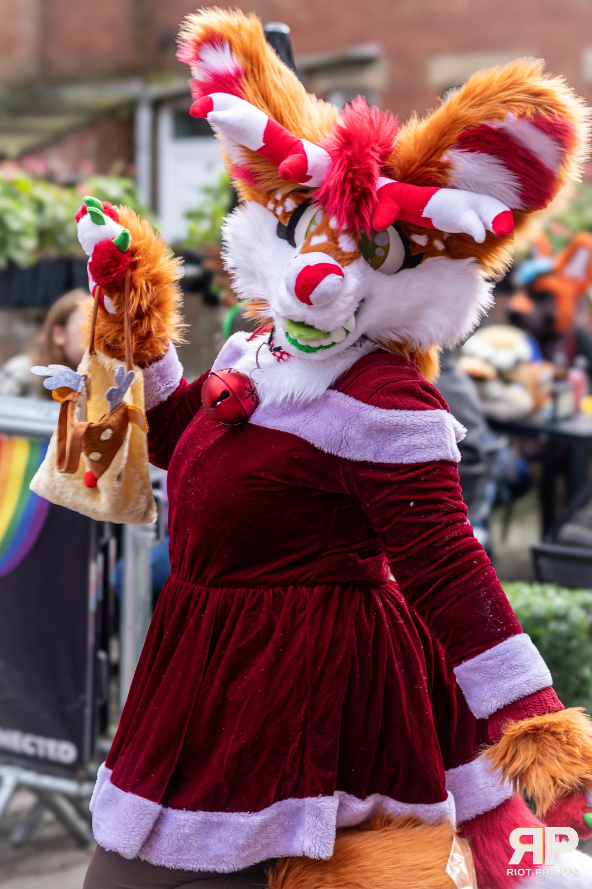 MancFurs - December, 2024 — 14 Dec 2024, Fluffy Riot photography — photo 36