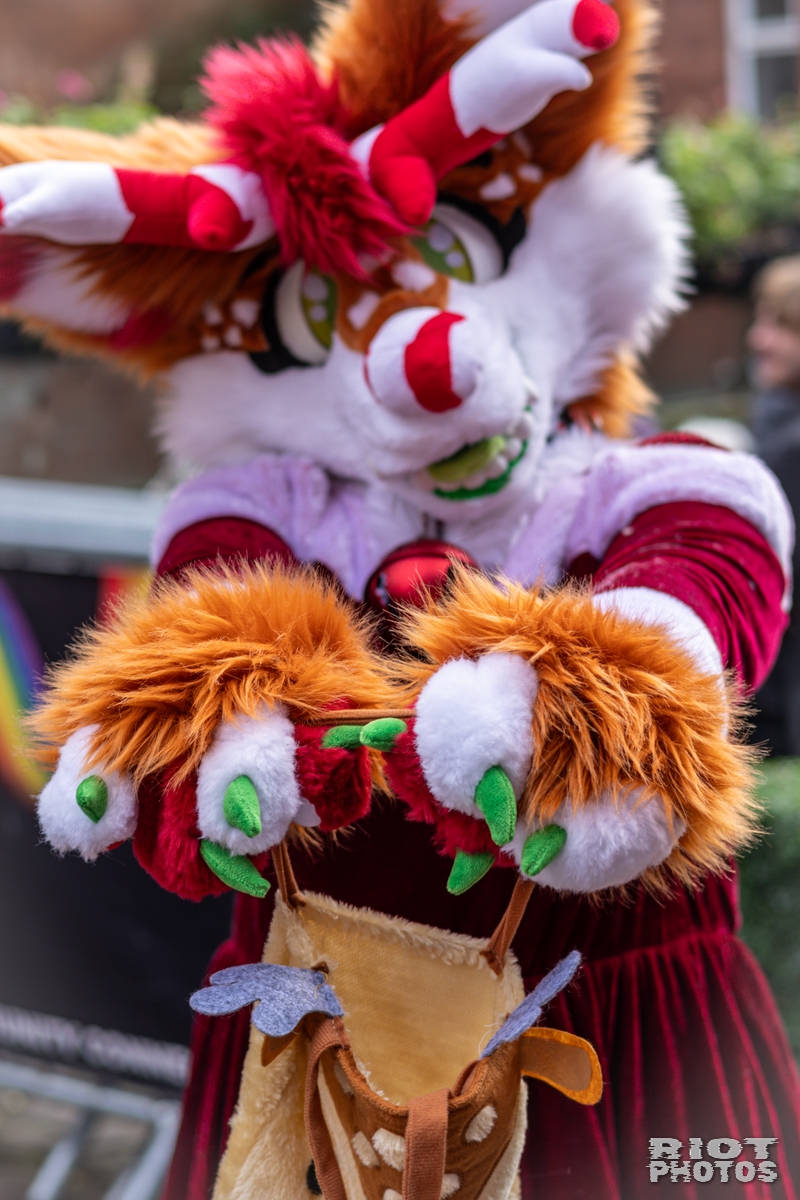 2024-12-15 MancFurs-202412-037.jpg