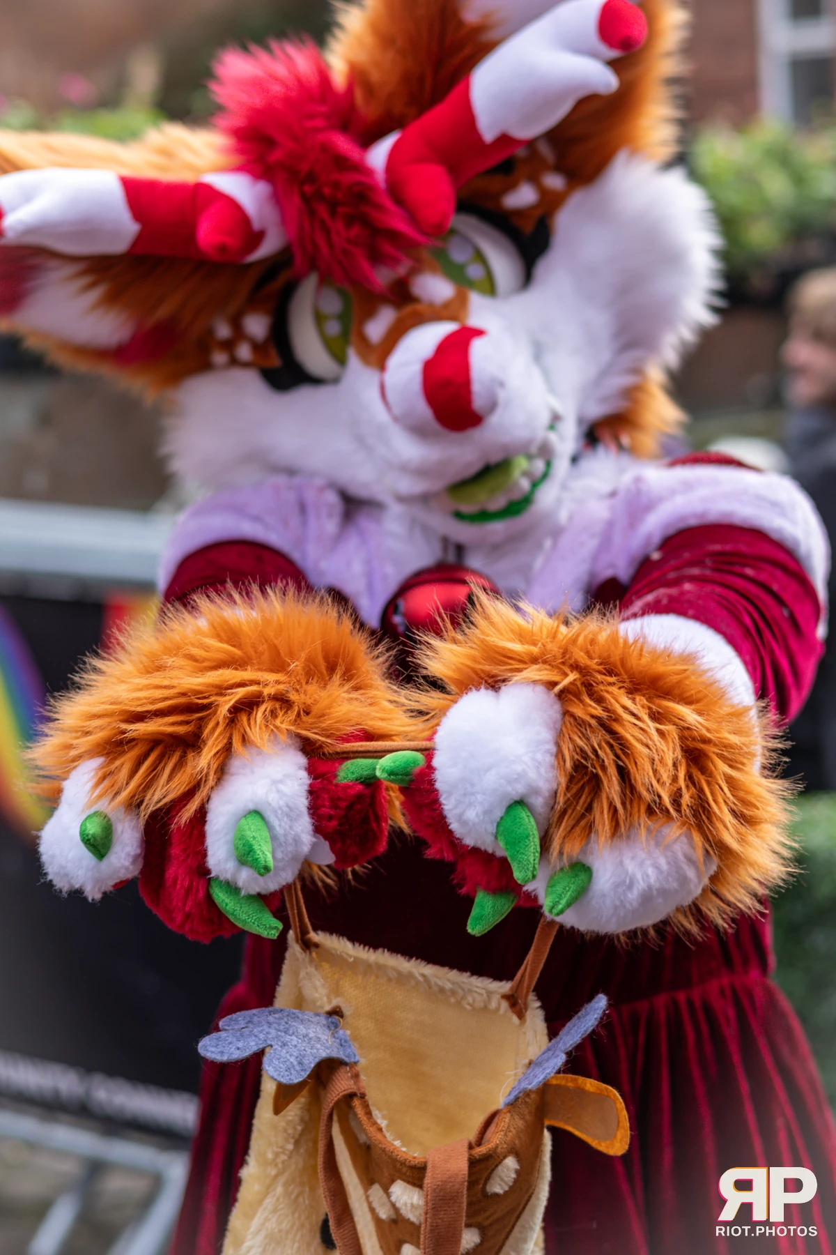 MancFurs - December, 2024 — 14 Dec 2024, Fluffy Riot photography — photo 37