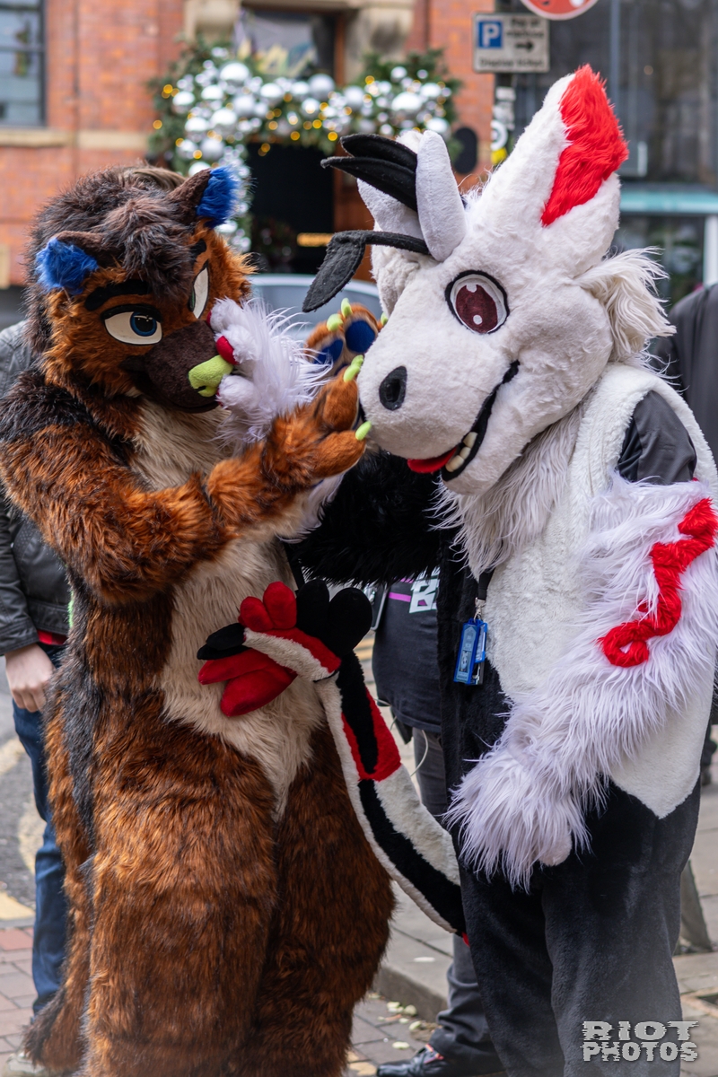 2024-12-15 MancFurs-202412-040.jpg