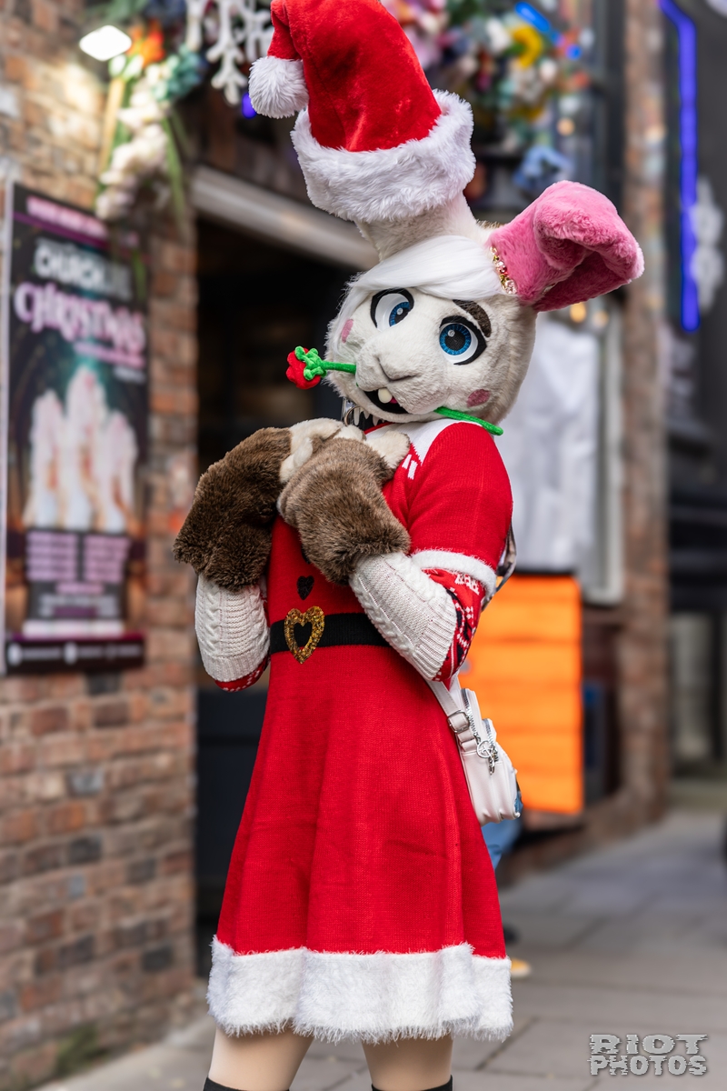 2024-12-15 MancFurs-202412-041.jpg