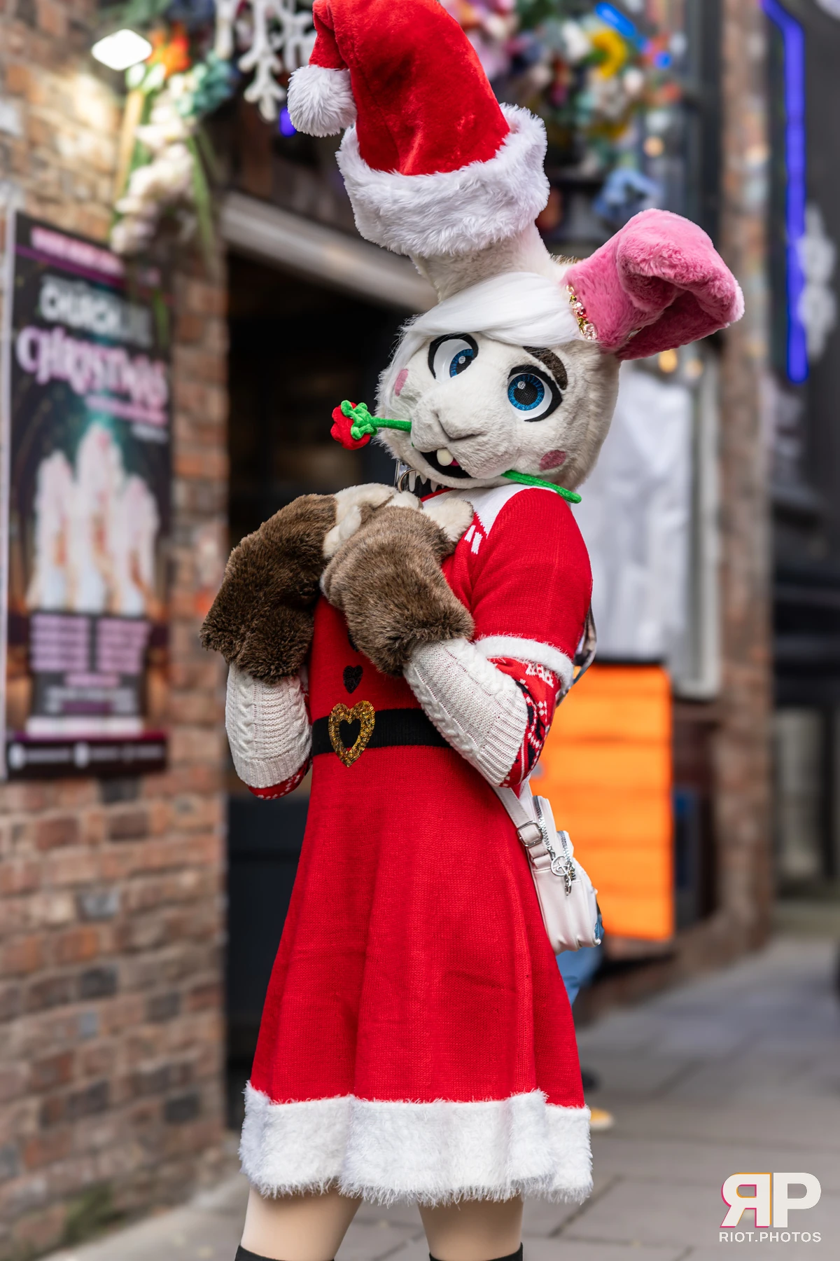 MancFurs - December, 2024 — 14 Dec 2024, Fluffy Riot photography — photo 40