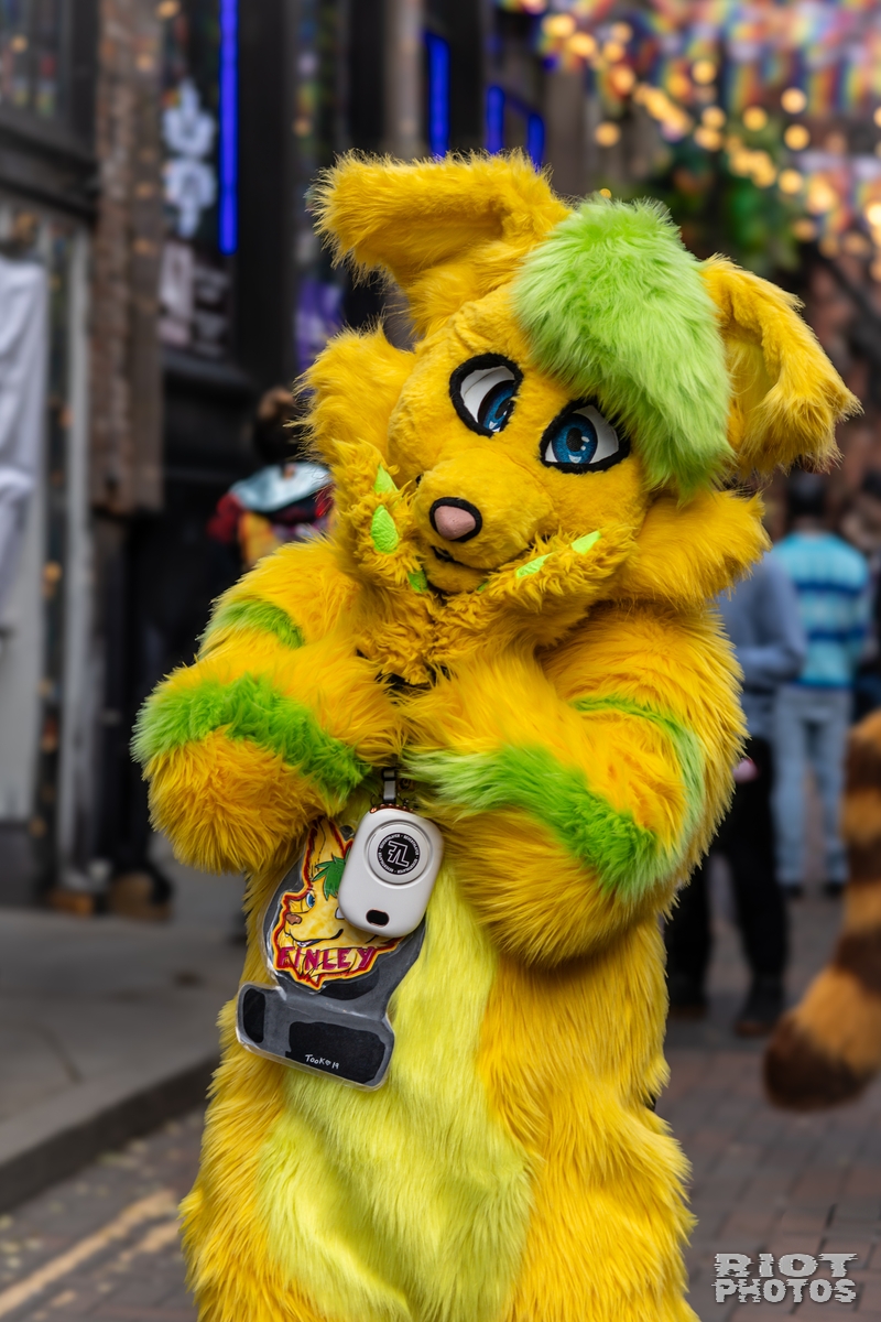 2024-12-15 MancFurs-202412-042.jpg