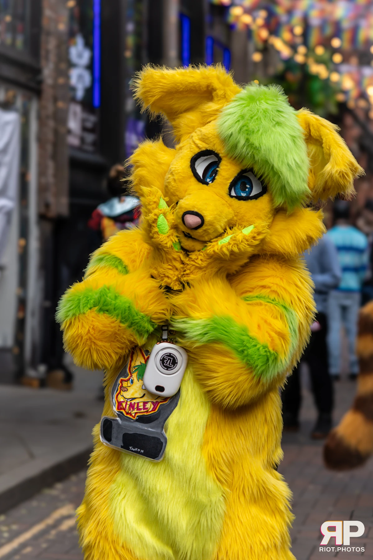 MancFurs - December, 2024 — 14 Dec 2024, Fluffy Riot photography — photo 41