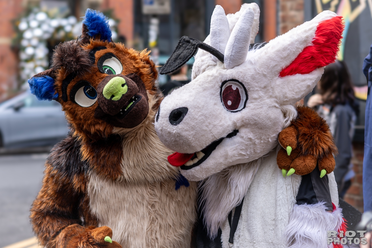 2024-12-15 MancFurs-202412-043.jpg
