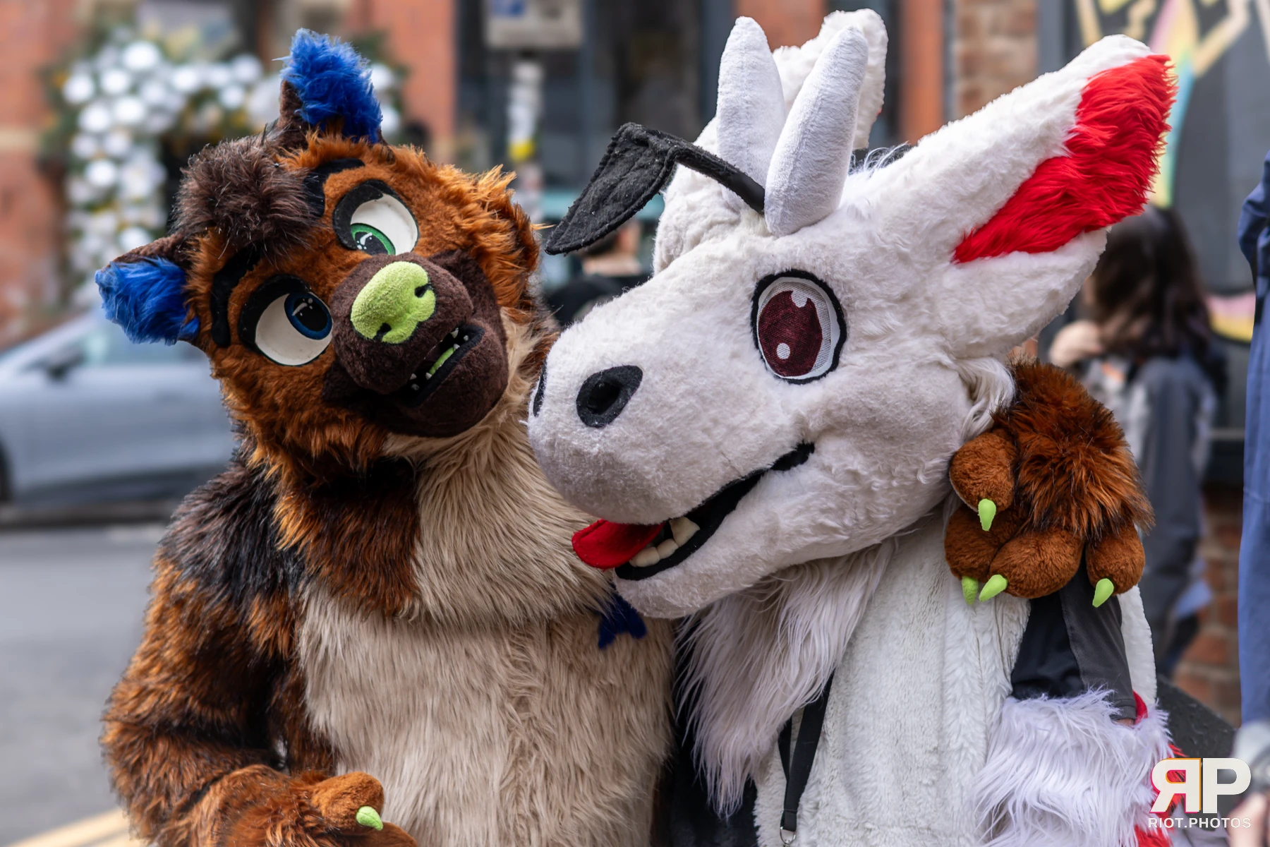 MancFurs - December, 2024 — 14 Dec 2024, Fluffy Riot photography — photo 42