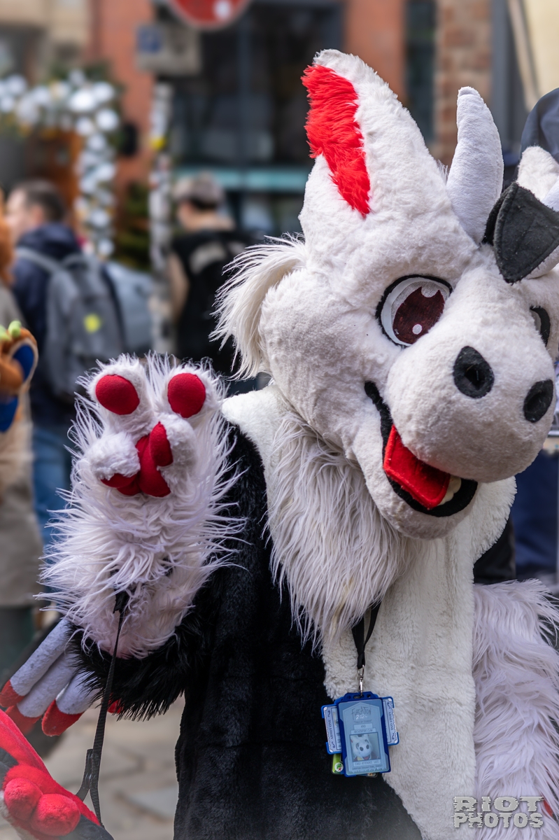 2024-12-15 MancFurs-202412-044.jpg
