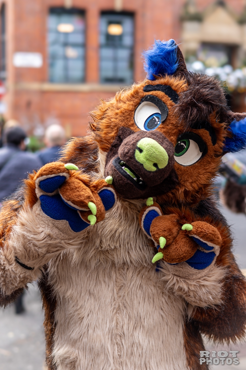 2024-12-15 MancFurs-202412-045.jpg