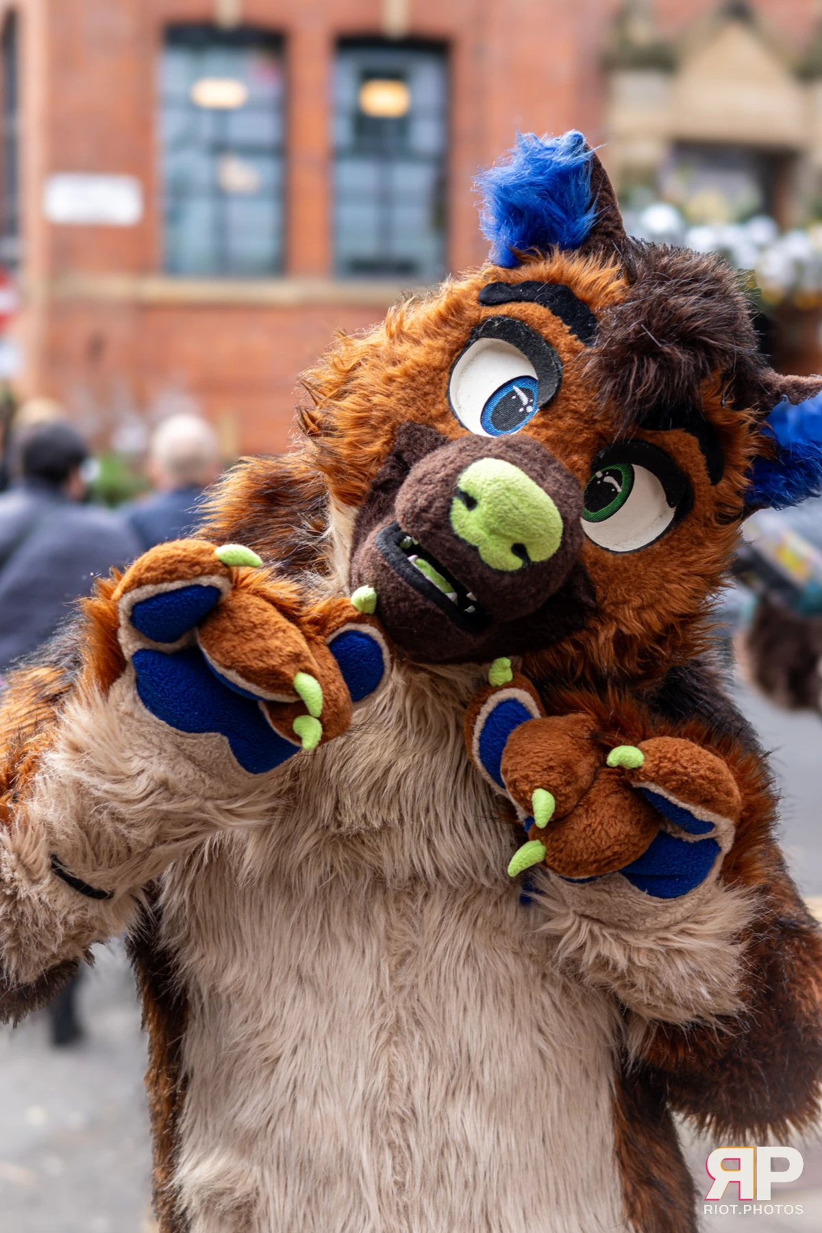 MancFurs - December, 2024 — 14 Dec 2024, Fluffy Riot photography — photo 44