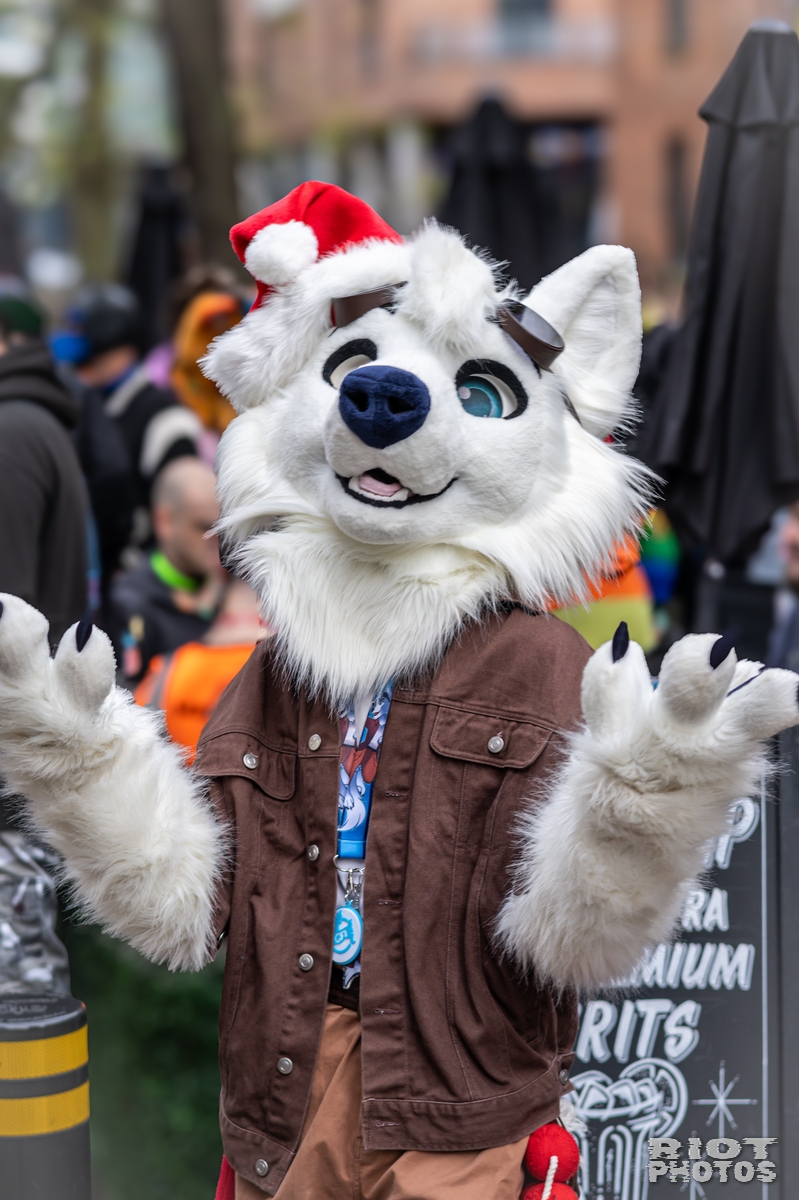 2024-12-15 MancFurs-202412-047.jpg