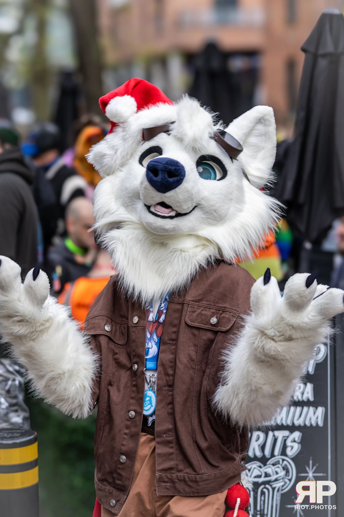 MancFurs - December, 2024 — 14 Dec 2024, Fluffy Riot photography — photo 46
