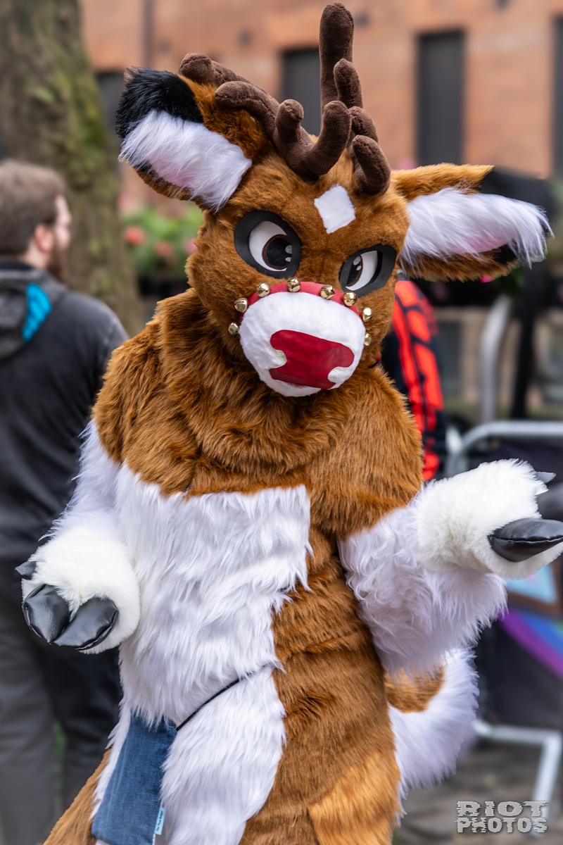 2024-12-15 MancFurs-202412-048.jpg