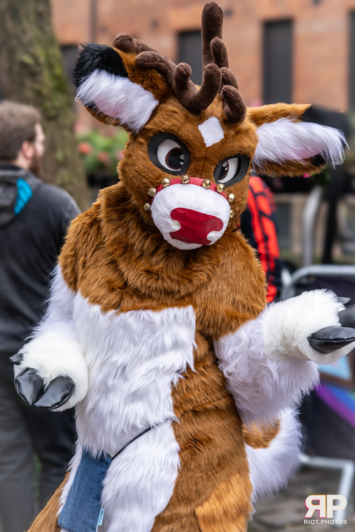 MancFurs - December, 2024 — 14 Dec 2024, Fluffy Riot photography — photo 47