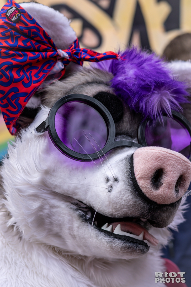 2024-12-15 MancFurs-202412-049.jpg