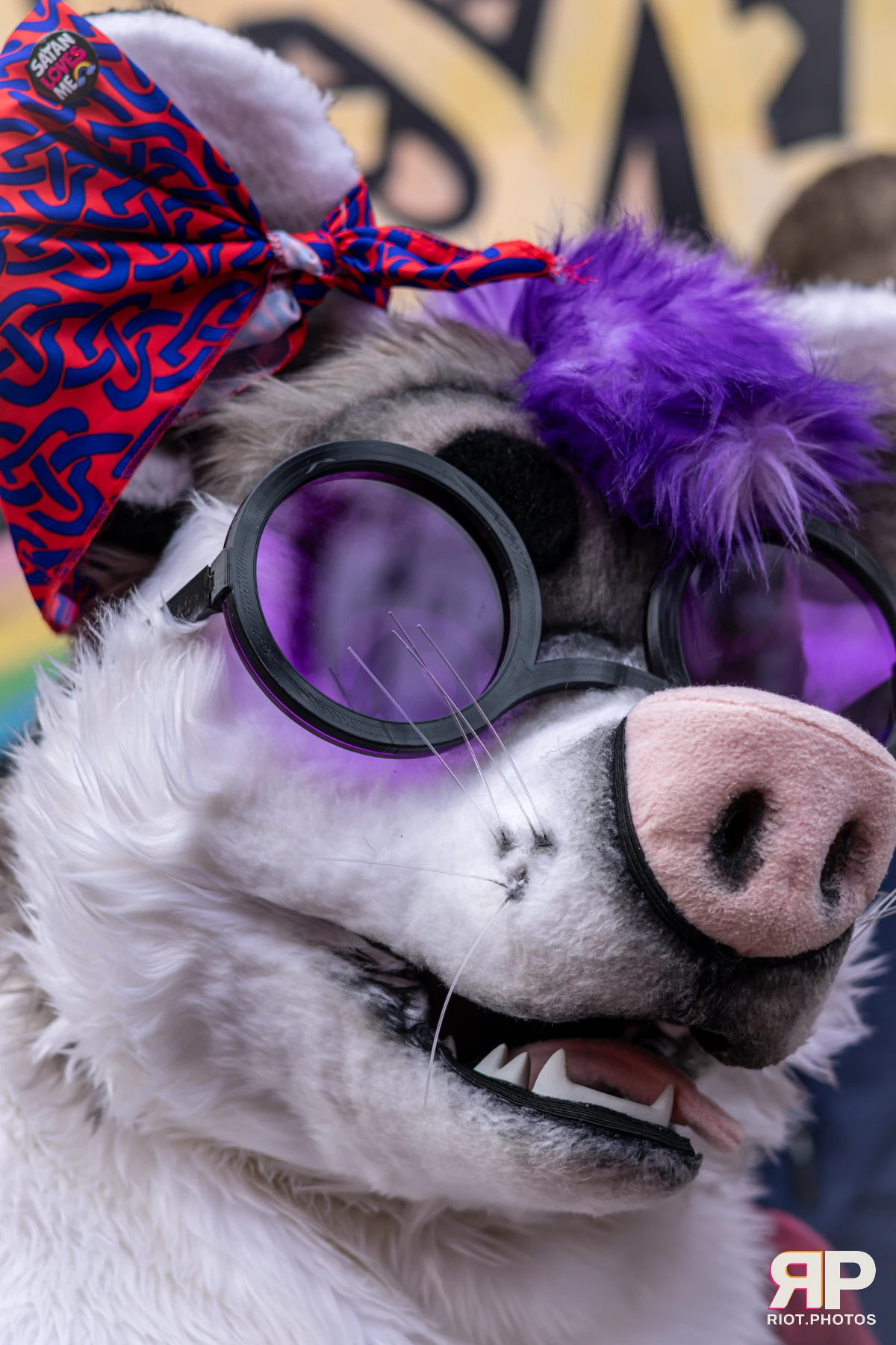 MancFurs - December, 2024 — 14 Dec 2024, Fluffy Riot photography — photo 48