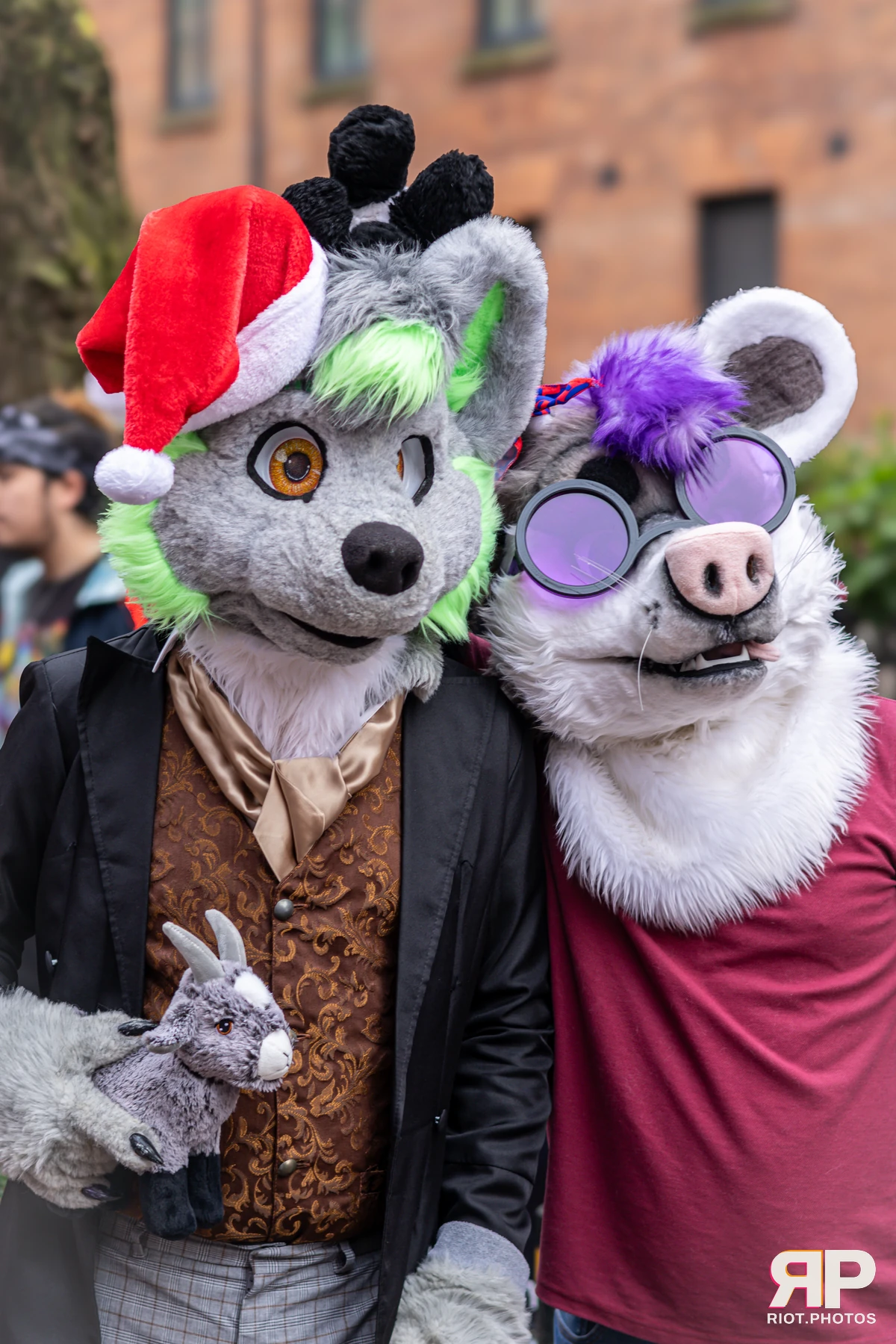 MancFurs - December, 2024 — 14 Dec 2024, Fluffy Riot photography — photo 49