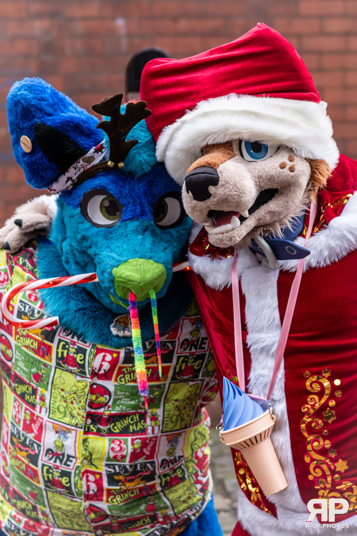 MancFurs - December, 2024 — 14 Dec 2024, Fluffy Riot photography — photo 50