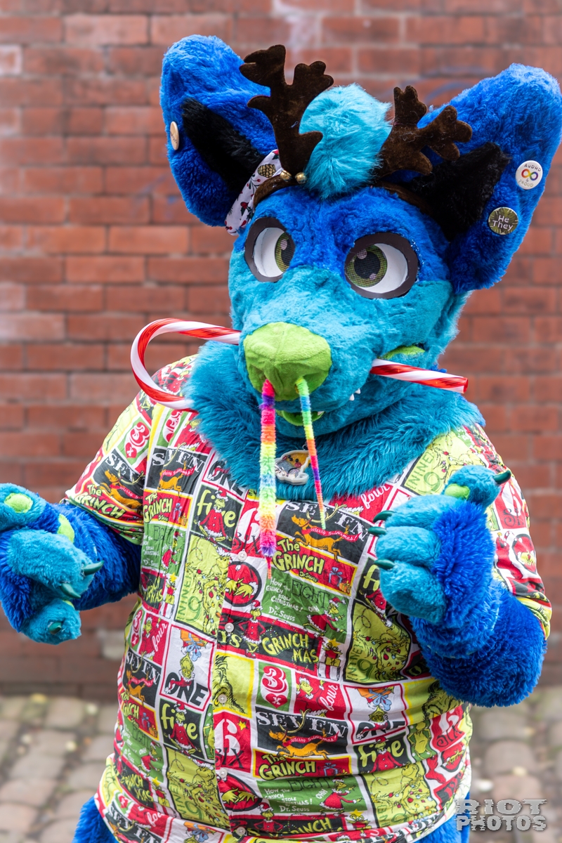 2024-12-15 MancFurs-202412-052.jpg