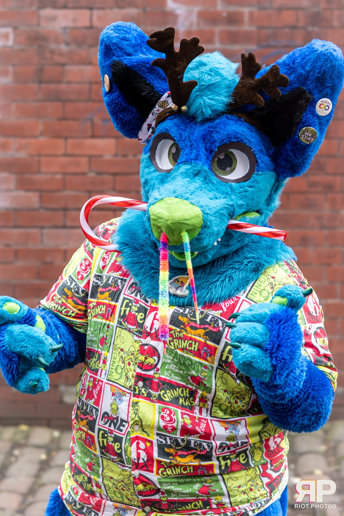 MancFurs - December, 2024 — 14 Dec 2024, Fluffy Riot photography — photo 51